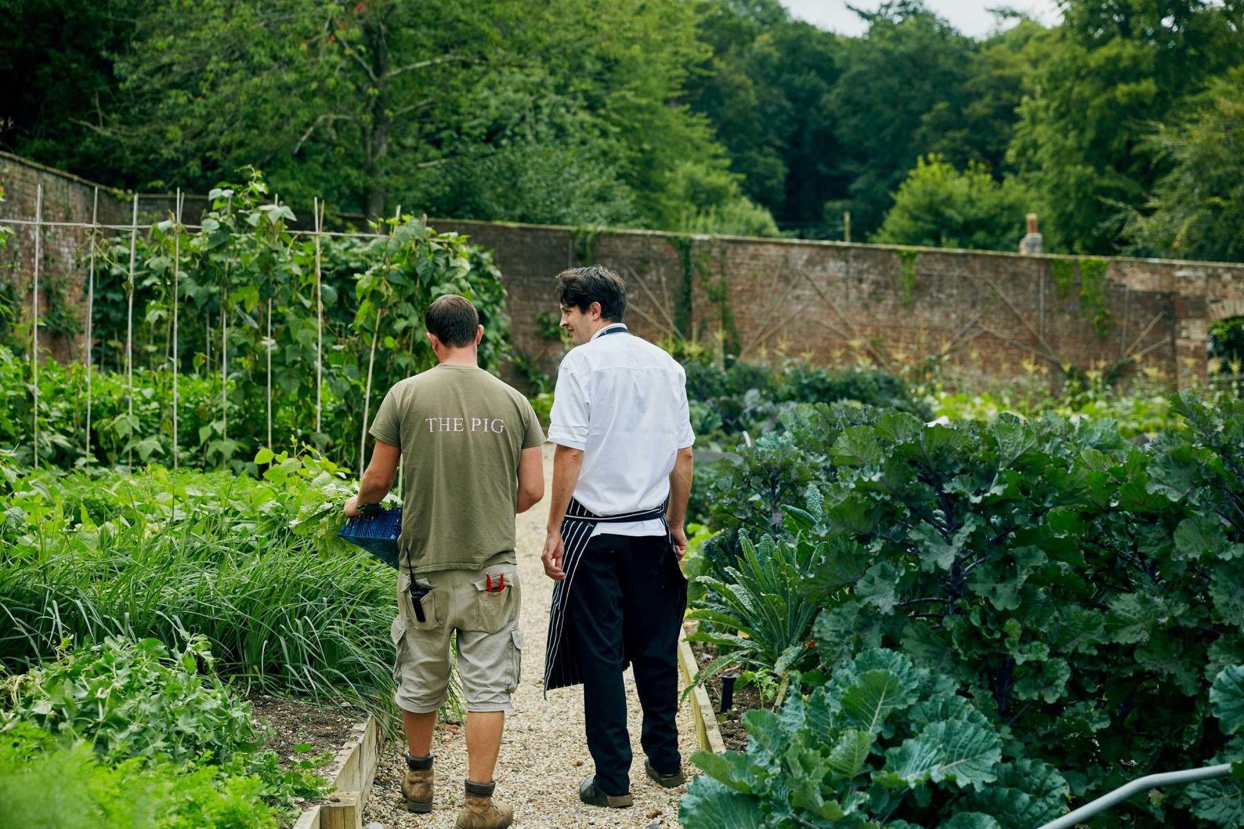 Chef and gardener in the kitchen garden at The Pig at Coombe
