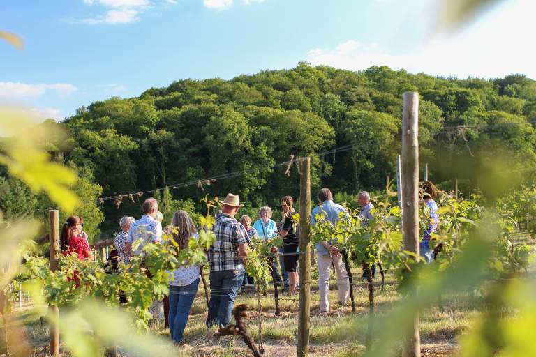 Alder Vineyard