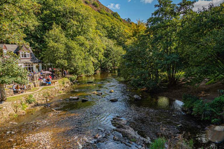 Fingle Bridge