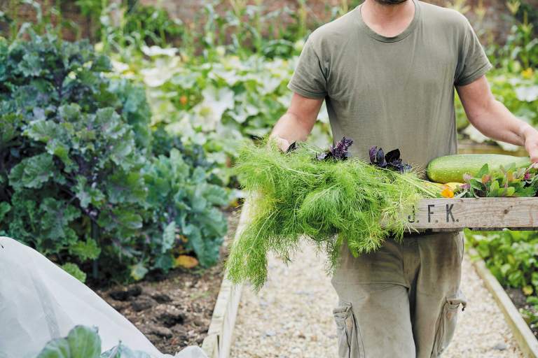 carrying veg in the kitchen garden at The Pig at Coombe