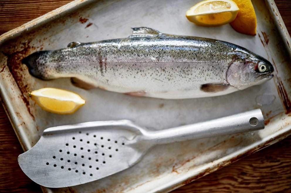 Fish on silver tray