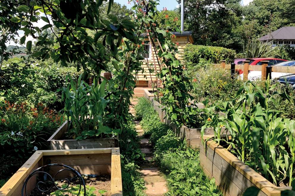 Summer in the YMCA garden