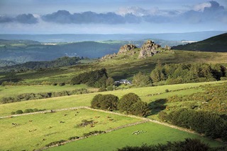 View of Hound Tor